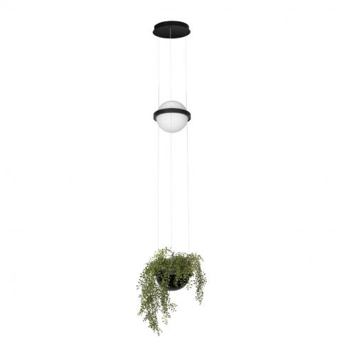 Подвесной светильник Loft IT Jardin 10121/B