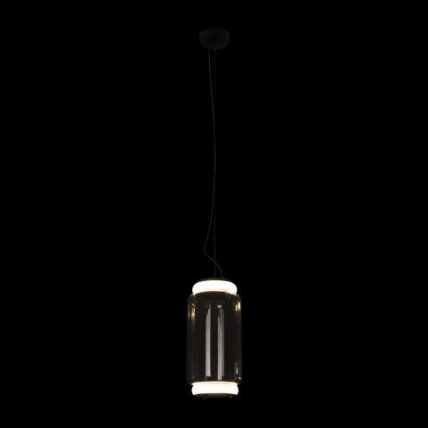 Подвесной светильник Loft IT Noctambule 10194/S