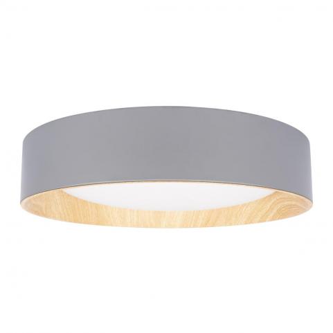 Потолочный светильник Loft IT Coin 10202 Grey
