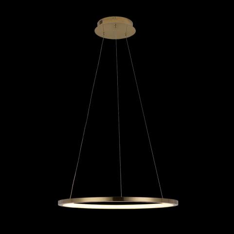 Подвесной светильник Loft IT Ring 10014M