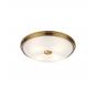 Настенно-потолочный светильник Odeon Light Pelow 4956/4