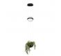 Подвесной светильник Loft IT Jardin 10121/B
