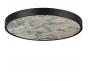 Настенно-потолочный светильник Odeon Light Bergi 5064/50L
