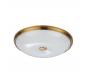 Настенно-потолочный светильник Odeon Light Pelow 4956/5