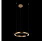 Подвесной светильник Loft IT Ring 10013M