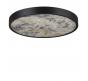 Настенно-потолочный светильник Odeon Light Bergi 5064/40L