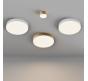 Потолочный светильник Maytoni Technical Ceiling 4000K Zon C032CL-12W4K-RD-MG